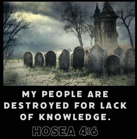 In Hosea 4:6, the Lord says, “My people are destroyed from lack of knowledge. Because you have rejected knowledge, I also reject you.” Willfully rejecting knowledge that God wants us to have is sinful ignorance. While unintentional ignorance about earthly topics is understandable, intentional ignorance about spiritual matters can ...